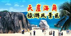 大鸡巴爽视频海南三亚-天崖海角旅游风景区